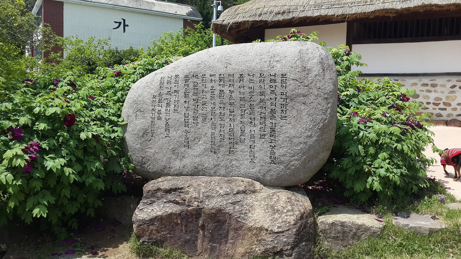풀과 나무 사이에 세워진 영랑 시비